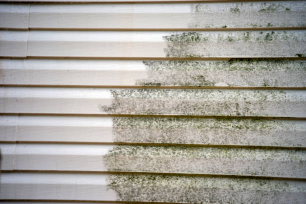 Best Custom Trim and Detailing for Siding  in Drain, OR