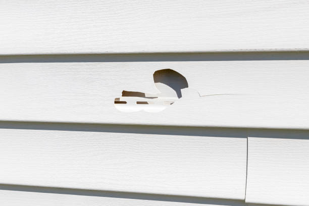 Best Siding Removal and Disposal  in Drain, OR