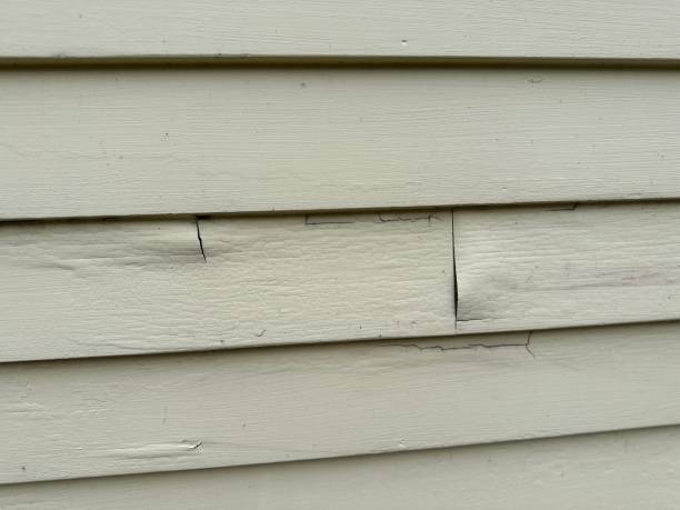 Best Fiber Cement Siding Installation  in Drain, OR