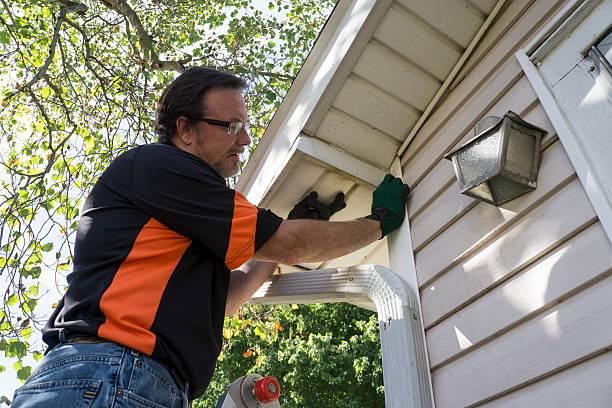 Best Siding Removal and Disposal  in Drain, OR